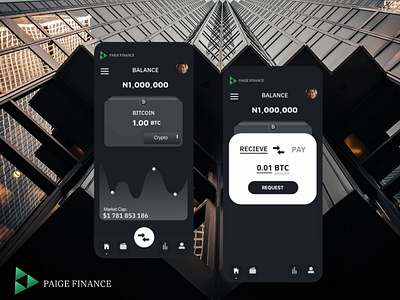 Mobile app for Paige finance app design icon ui ux