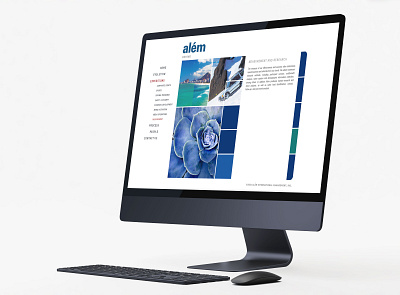 ALEM WEBSITE uidesign web design website