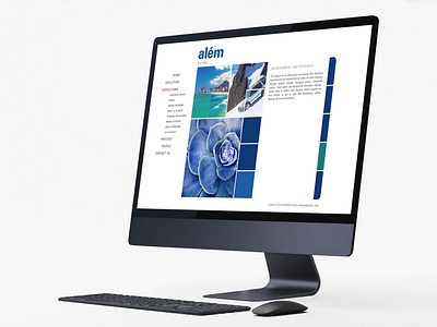 ALEM WEBSITE