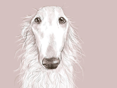 Long Face animal art borzoi design digital art digital painting dog dog illustration drawing illustration pets pink portrait portrait art procreateapp