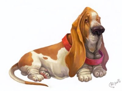 Basset- hound caricature character dog