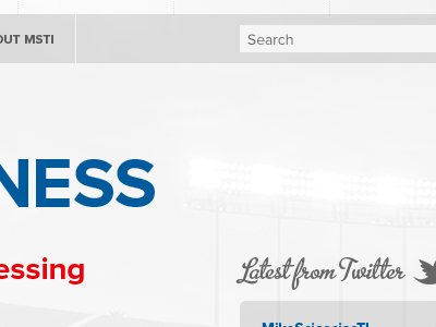 Msti homepage