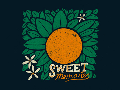 Sweet Memories handlettering illustration orange orange blossom