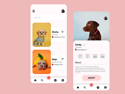 Dog Adoption App design flat mobile app ui ux