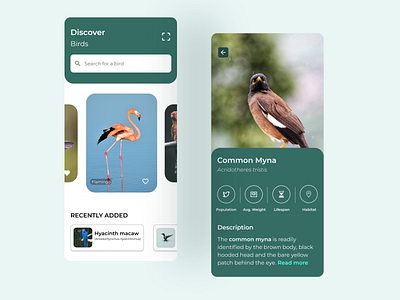 Birds recognition app