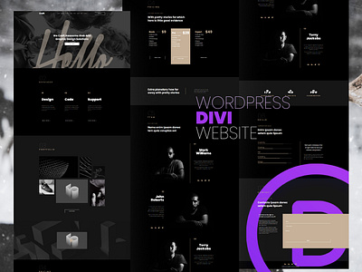 Divi WordPress Website Design