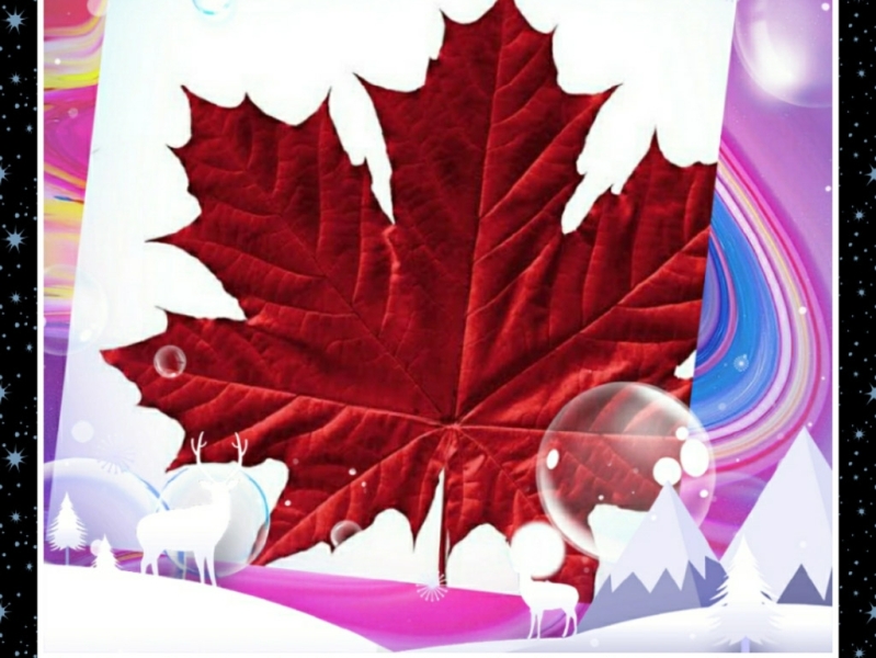 Maple Leaf bubbles colorful graphic design illustration logo mapleleaf mountains sachin sachin kumar mishra sachin mishra sachinbak transparent winter