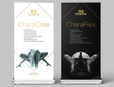 Banner aesthetics banner banner design biology biotech black and white cell company cord core design flex gold injection medical