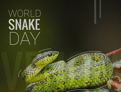 WORLD SNAKE DAY cover design design graphic design illustration poster design