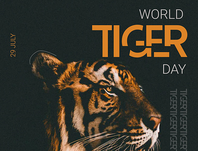 Tiger Day cover design design graphic design poster design