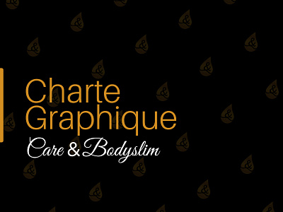Charte Graphique Care & Bodyslim charte graphique document illustrator