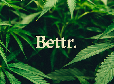 Bettr better cbd hemp identity logo