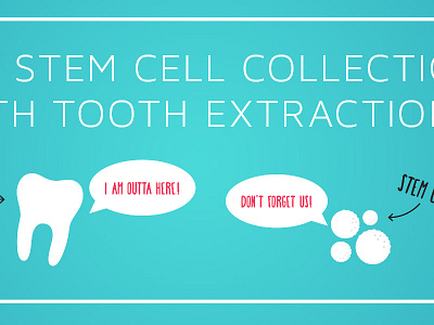 Teef stem cell tooth