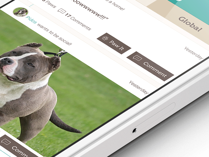 Petify refresh animation dribbble