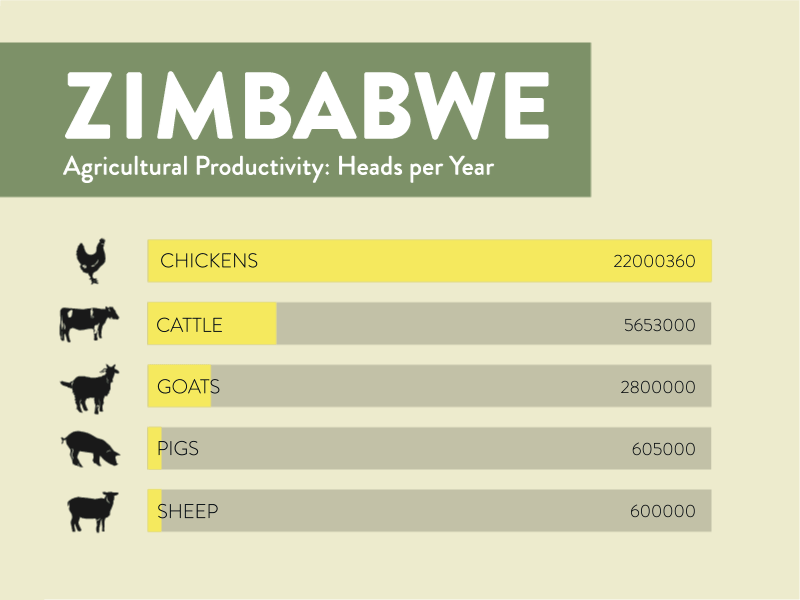 Zimbabwe Infographic (Portion) agriculture cattle chicken goats infographic pigs sheep zimbabwe