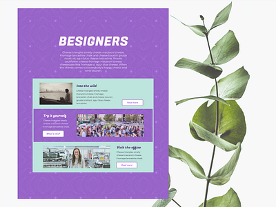 Besigners Landing Page