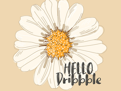 Hello Dribbble. Camomile on an orange background camomile hellodribbble лепесток оранжевый штрих