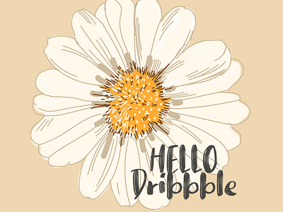 Hello Dribbble. Camomile on an orange background