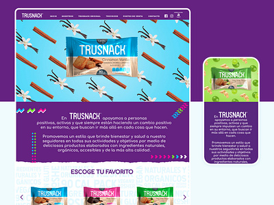 Trusnack Website Design