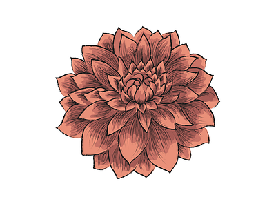 Flower. design flat flower flowers illustration illustration illustrator vector vectorillustration