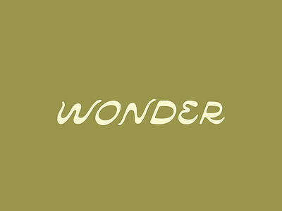 Wonder Lettering lettering type design typography