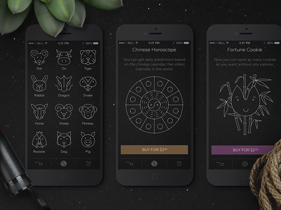 Chinese Horoscope application astrology bamboo cookie cx fortune icons illustration ios prediction sign signs space star stars subscription ui universe ux zodiac