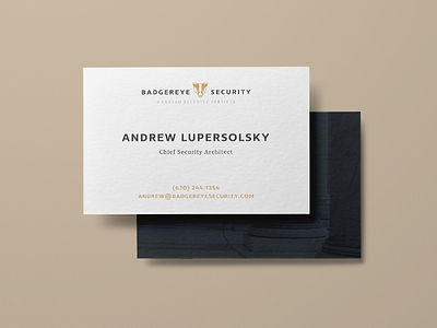 Badgereye Security Business Card badger bc brand branding classic collateral design graphic id identity logo logotype luxurious luxury marketing materials polish print typography visual