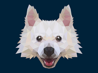 Poly Dog Balthazar animal cute dog happy illustration illustrator poly polygons smile triangles vector