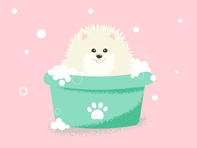 Funny pomeranian spitz bathes bath dog funny green groomers grooming illustration pet pomeranian puppy simple