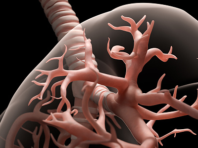 Close-up of human lung 3d 3ds max anatomy biology cgi human lung medical render rendering respiratory