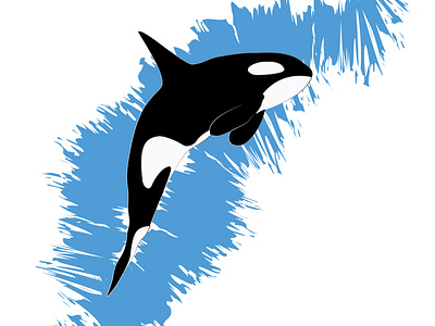 Orca Illustration