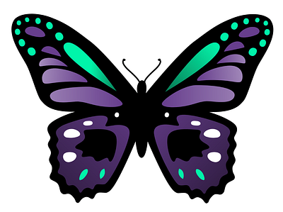 Butterfly Vector Graphic in Adobe XD adobe xd butterfly cassclarity cassclarity design graphic vector vectorart xd