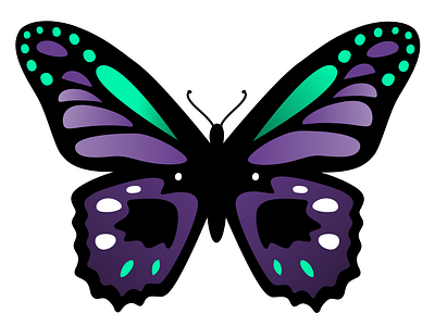 Butterfly Vector Graphic in Adobe XD