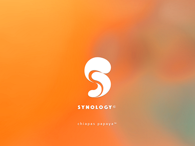 synology logo2 design icon logo typogaphy vector