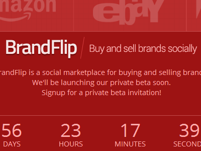 BrandFlip - Private beta signup page