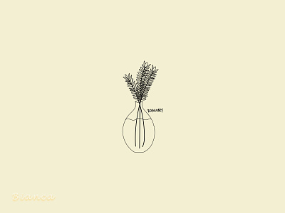 Line Art Herbs botanical art botanical illustration design drawing flat illustration minimal