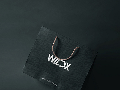 WILDX Clothing | Brand Identity Design