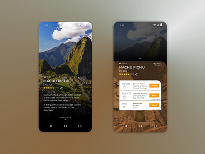 Machu Pichu figma machu pichu mobile mobile designer mobileapp peru travel travelapp ui uidesign web interface webdesigner