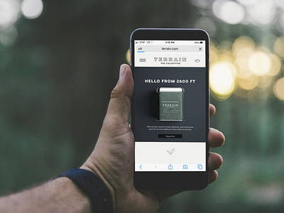Terrain Website on Mobile branding design minimal packaging typography webdesign website