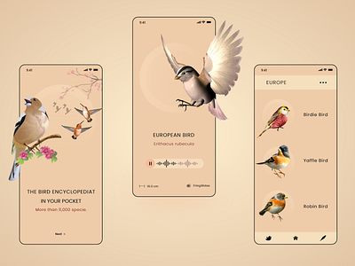 Birds Guide App app design ui ux