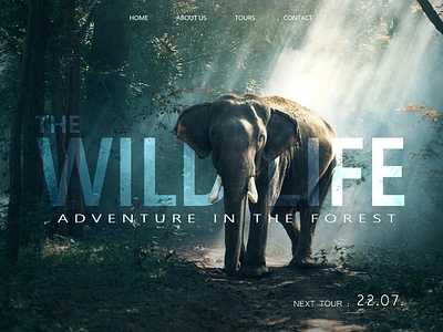 Wild Life photomanipulation photoshop webdesign