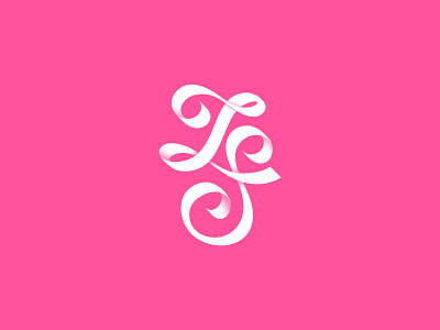 Z & J branding design flat icon illustration logo
