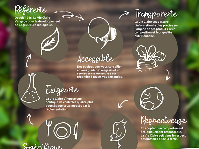 La Vie Claire valeurs brand and identity graphic design graphism illustration organic food webdesign