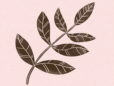 Leaves digital illustration illustration procreate procreate illustrations