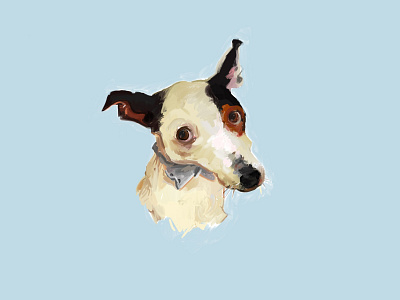 Dog Portrait animal illustration dog illustraion portrait woof