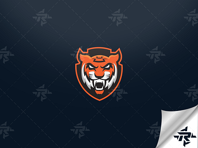 Tiger Mascot Logo Concept