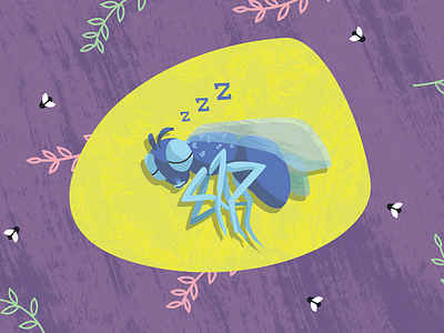 Where Do Flies Sleep? illustration poster