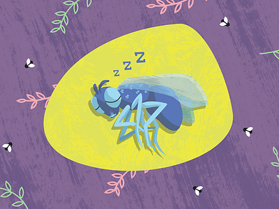 Where Do Flies Sleep?