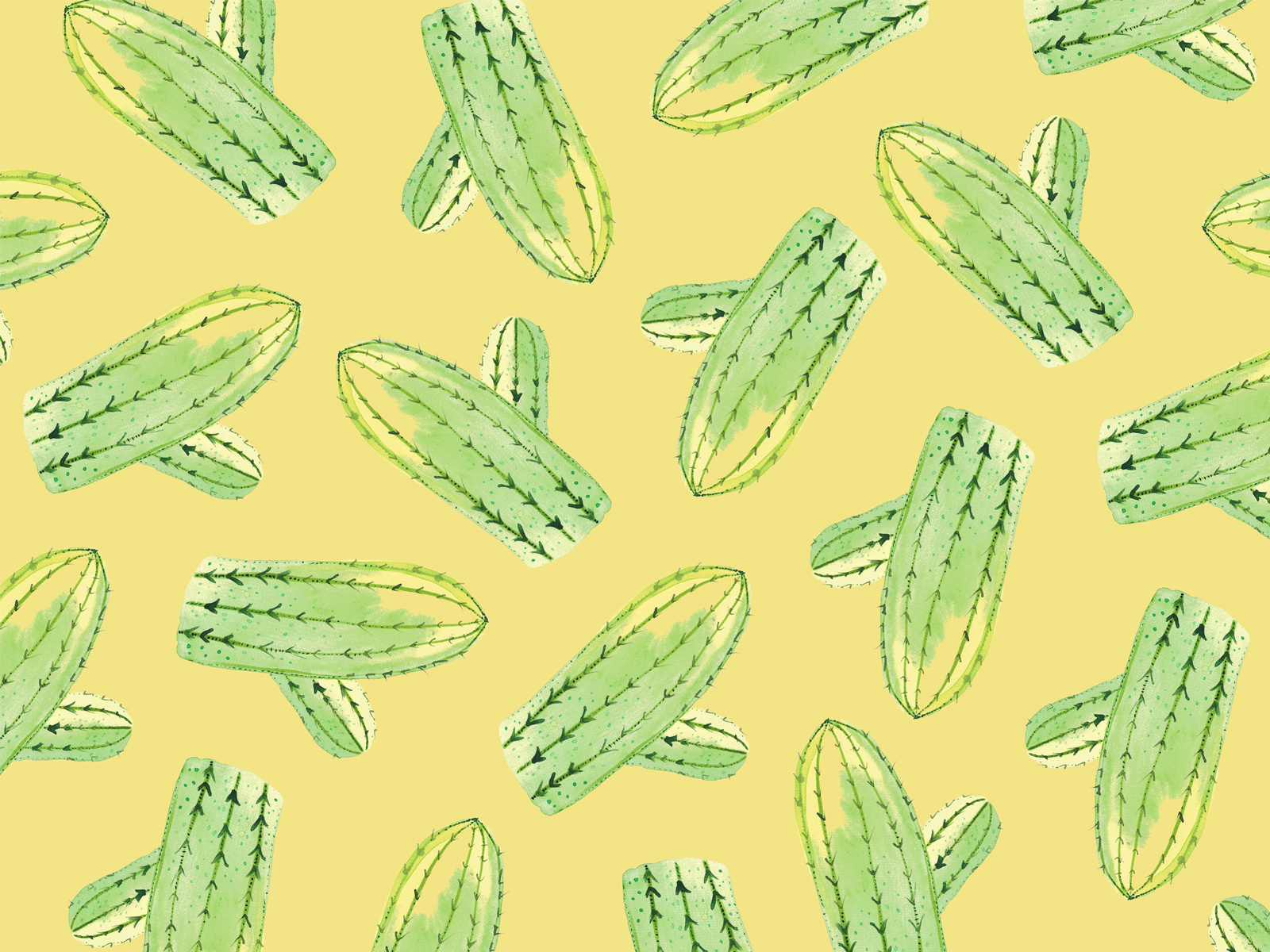 Кактусы by Краснова Надежда Александровна on Dribbble