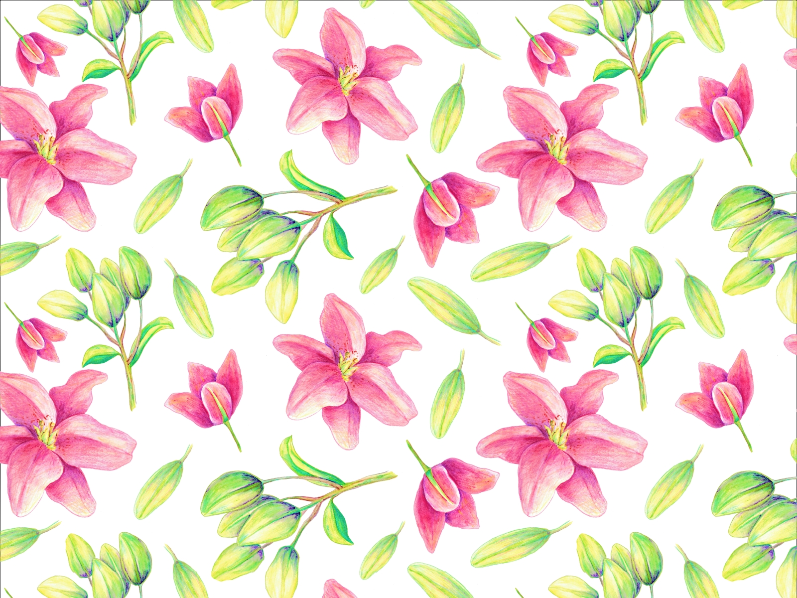 Лилии в акварели design illustration акварель букет зеленый лилии лилия природа растения розовые цветы розовый цветы цветы в акварели цветы для дам